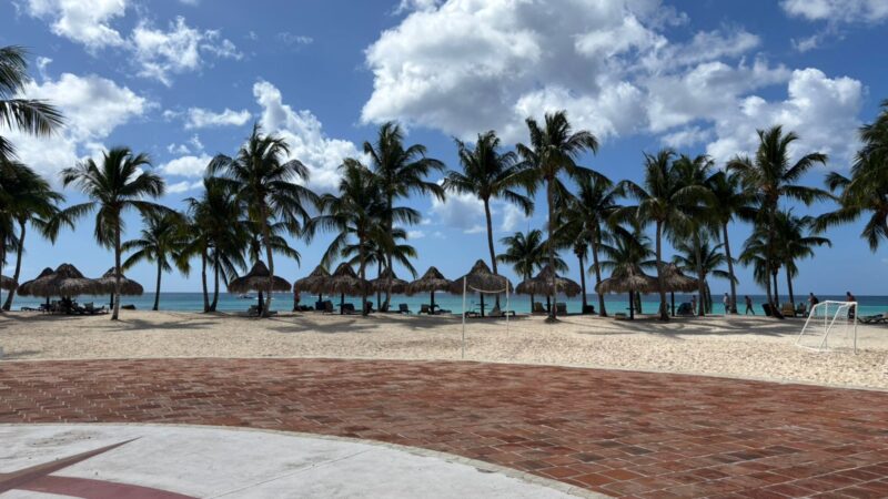 WhatsApp Image 2025-02-12 at 3.02.22 PM