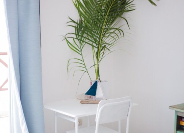 Screenshot_20250820_092648_Chrome